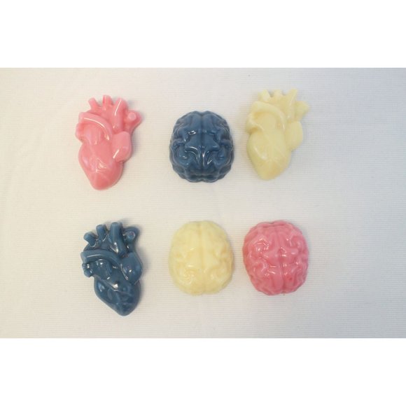 Anatomical Hearts Wax Melts | Skulls & Organs Tarts | Hand Poured - Picture 2 of 4